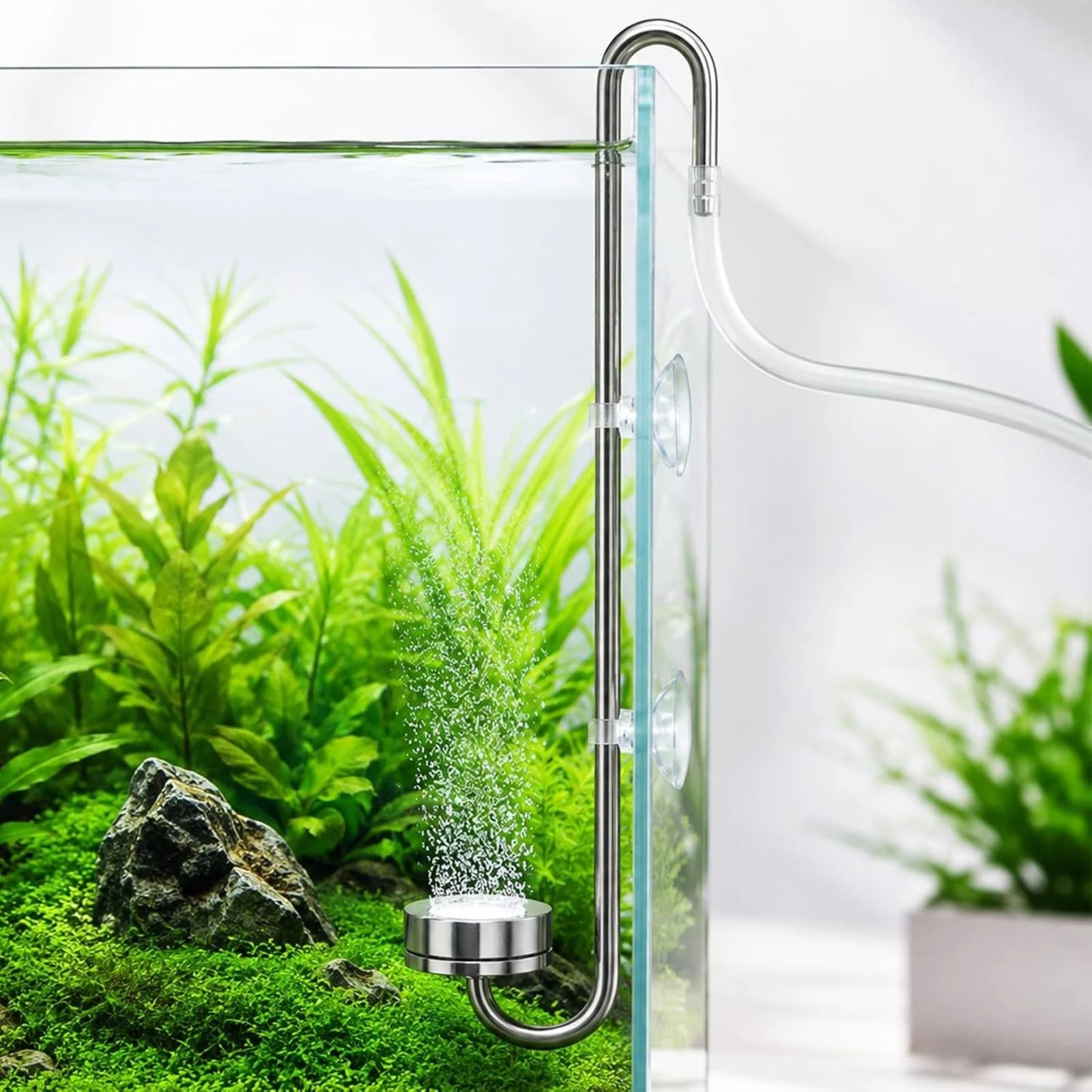 Aquarium Planted Set Up - Aquarium Equipment Fine-Bubble CO2 Dispenser with