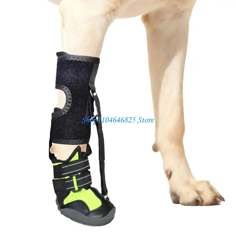 Attelle botte sans jointures pour chien, 1 pièce, pattes traînage, chaussure correctrice pour soulever les orteils en