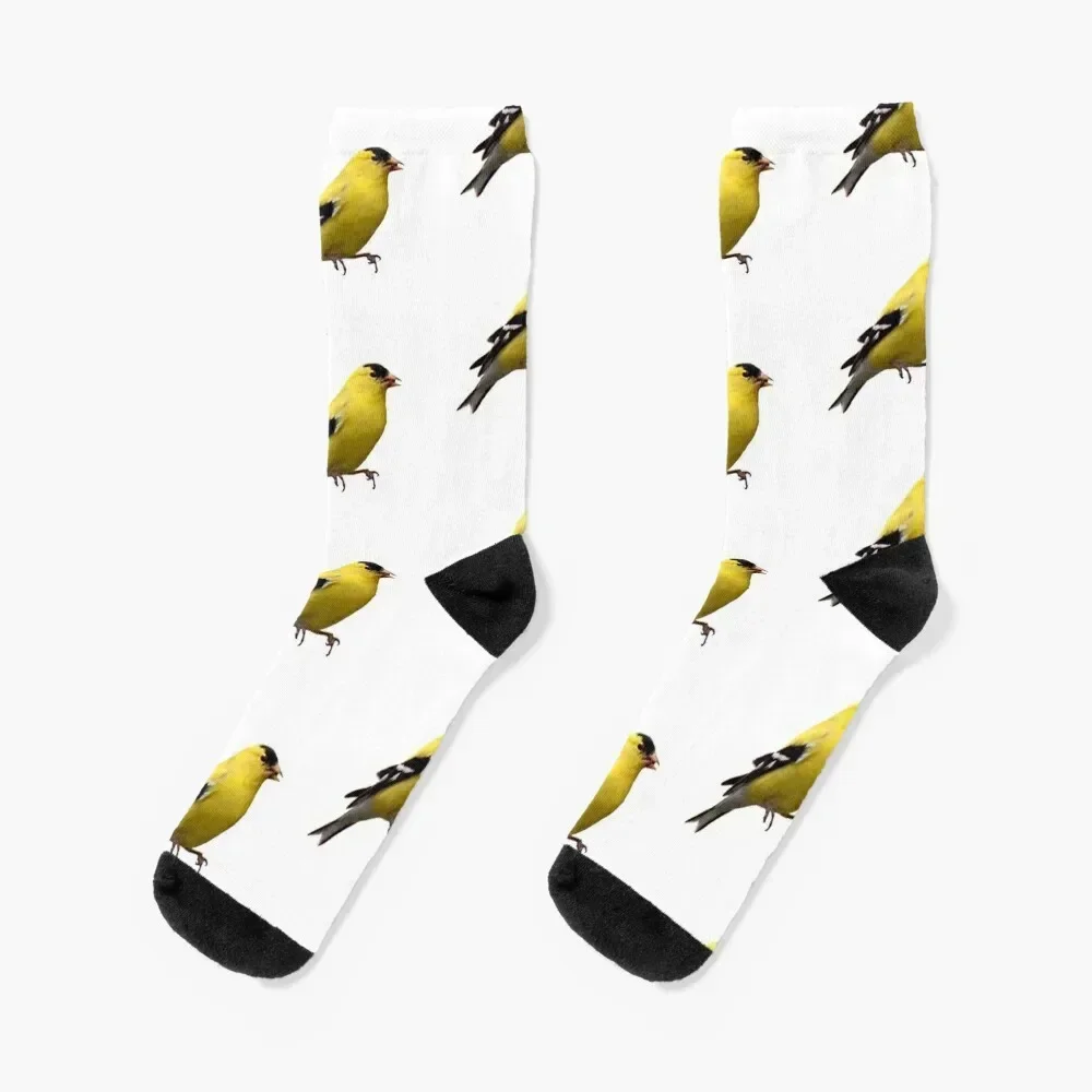 yellow finch Socks professional running designer custom christmas gift Socks Girl Men's