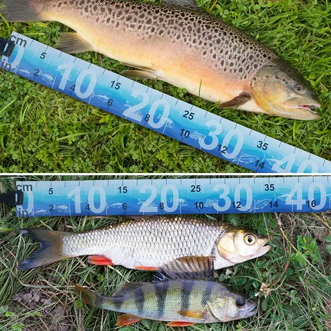 1 st vattentät fiskmätningslinjal vikbar fiskemåttbandsklistermärke fisketillbehör redskap för saltvatten sötvatten 6 best sales fiskelinjal - №1