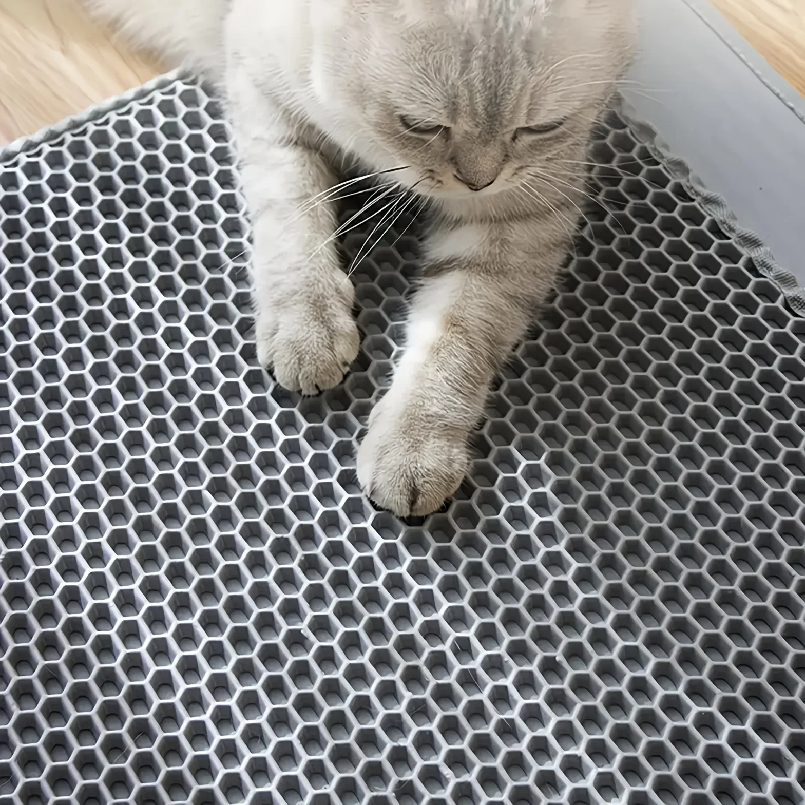 

Large double-layer cat litter mat, slip-proof and prevents cat litter from splashing, can be washed, EVA material