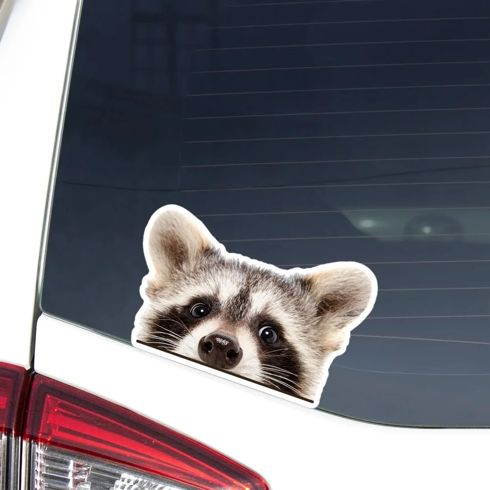 1pc Cartoon Raccoon Vinyl Decal  Peeking Animal Sticker for Car Window/Trunk Single Use Decoration Raccoon Stickers