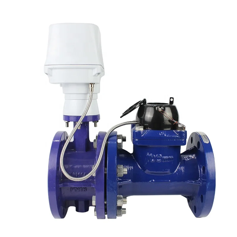 Dn40-300 Prepaid Cast Iron IP68 OEM Water Meter R100 3 Inches Certified Factory