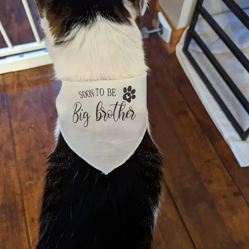 Soon To Be Big Brother Pregnancy Announcement Dog Bandana New Baby Birth Reveal Mom's Pregnant Baby Shower Pet Gift Party Decor view 3