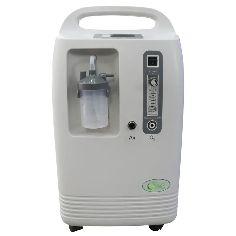 True HEPA Air Purifier for Home Office Removes Smoke Smell Low Noise with Oxygen Generator
