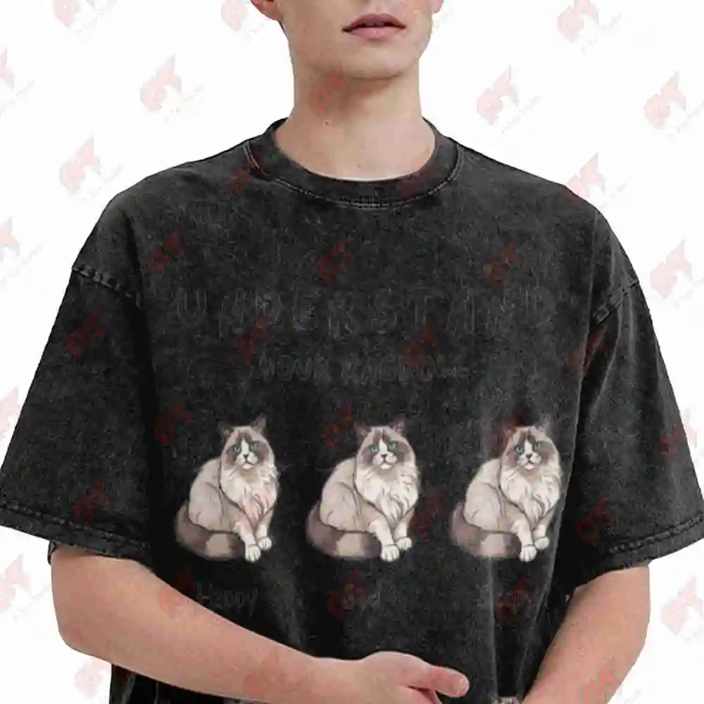Ragdoll Cat Lover Emotions Vintage Washed Tee Pure Cotton T-Shirt