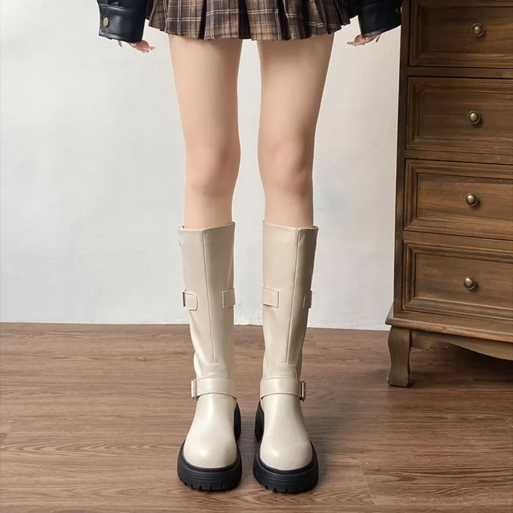 Winter Women Knight High Boots Fashion Back Zippers Ladies Elegant Platform Long Booties Short Plush Women\'s Footwear