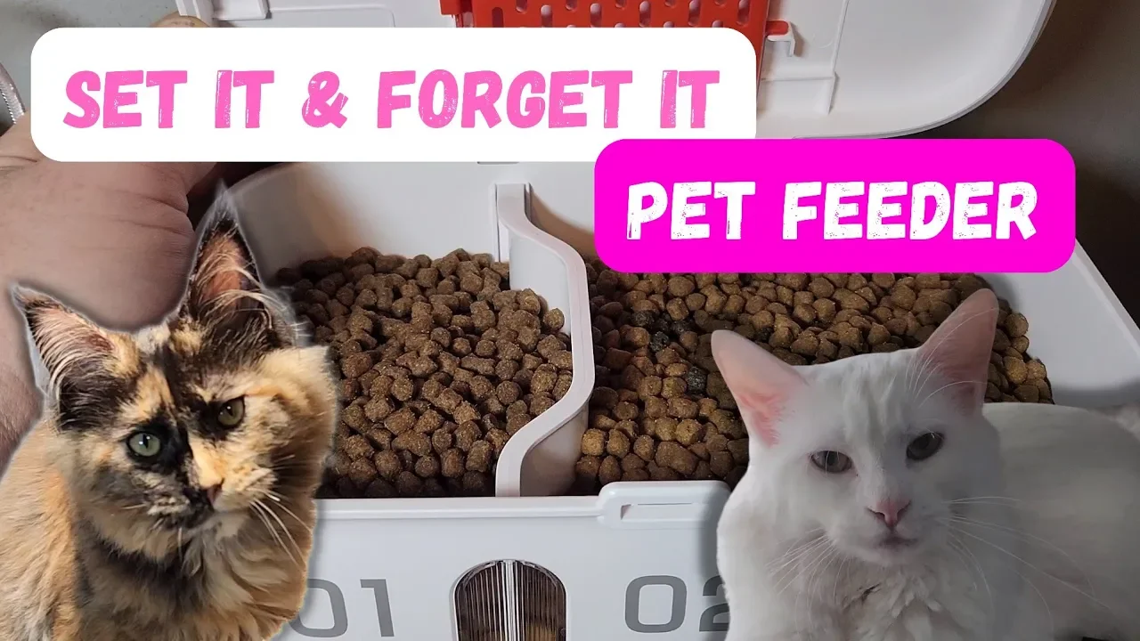 NEUES PETKIT PUROBOT ULTRA: Die AI-powered Box Smart Cat Toilet Automatic Box Katzentoilette mit