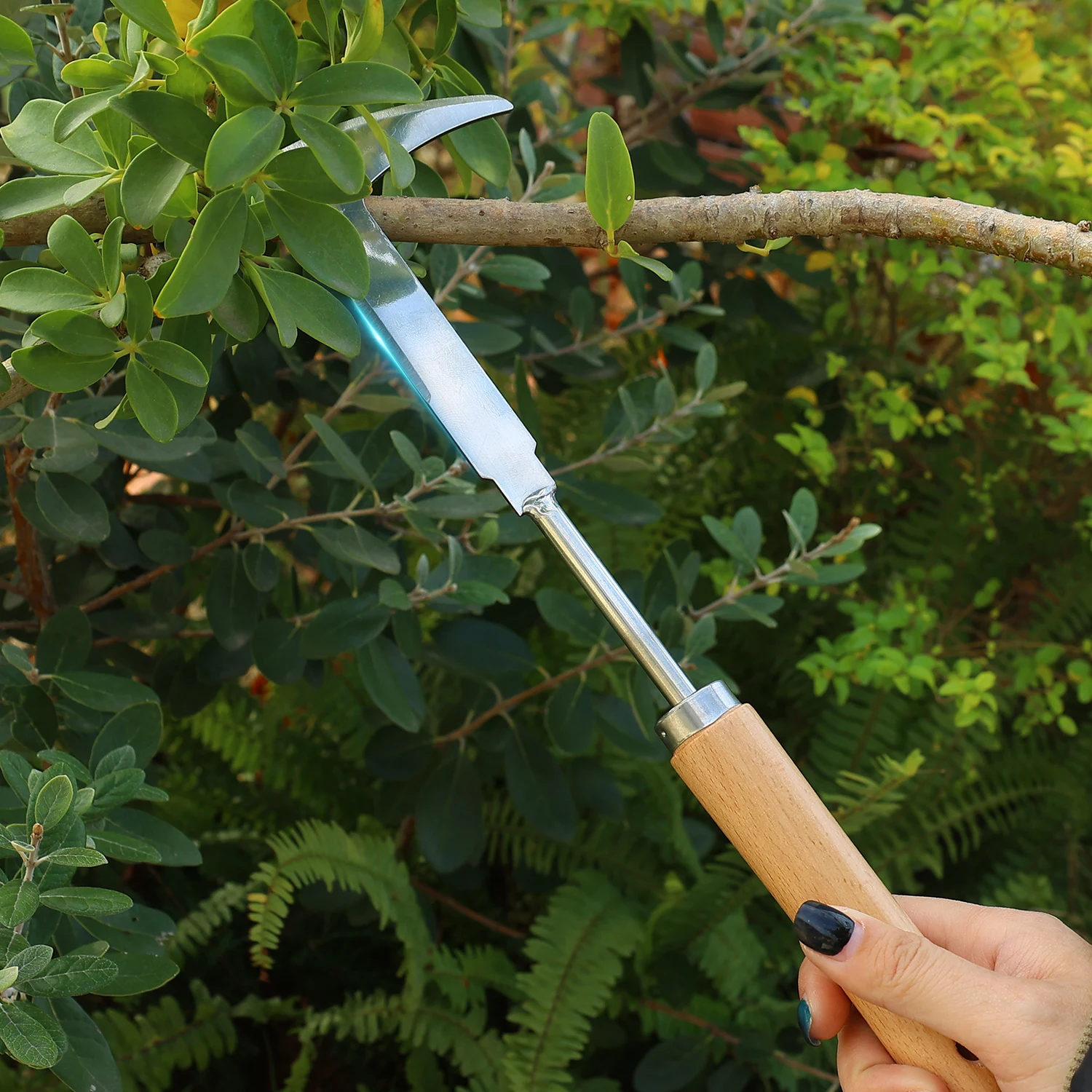 Désherbeur de fissures en acier en forme de L, outil de désherbage, extracteur de marche latérale, spatule, manche en bois, ameublissement du sol, tondeuse manuelle