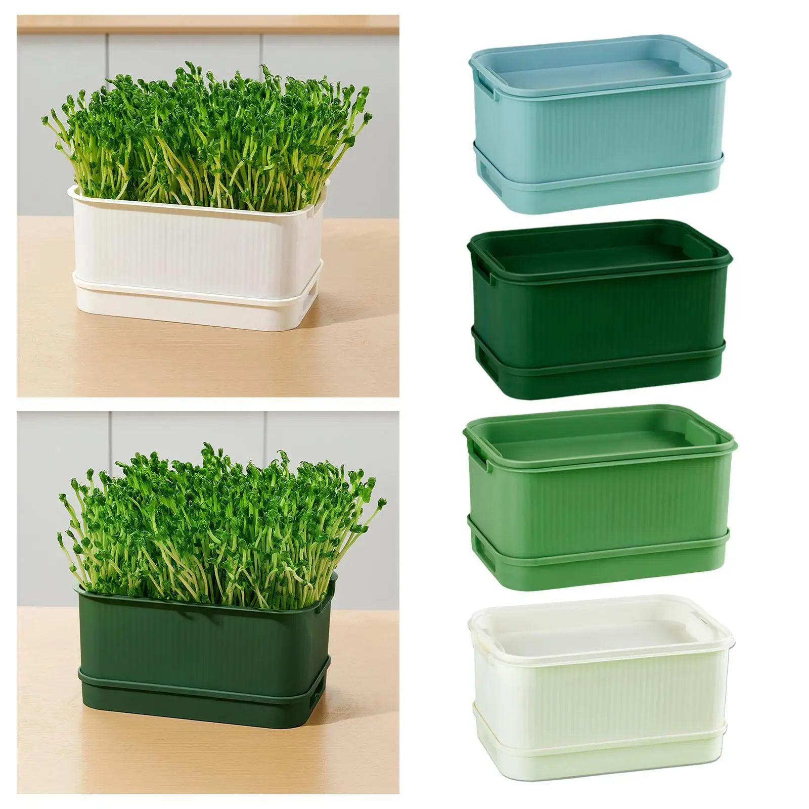 Seed Sprouts Tray Germination Plate, Saving Space Nursery Tray Green Growing Tray Sprouting Tray for Mung Bean Alfalfa