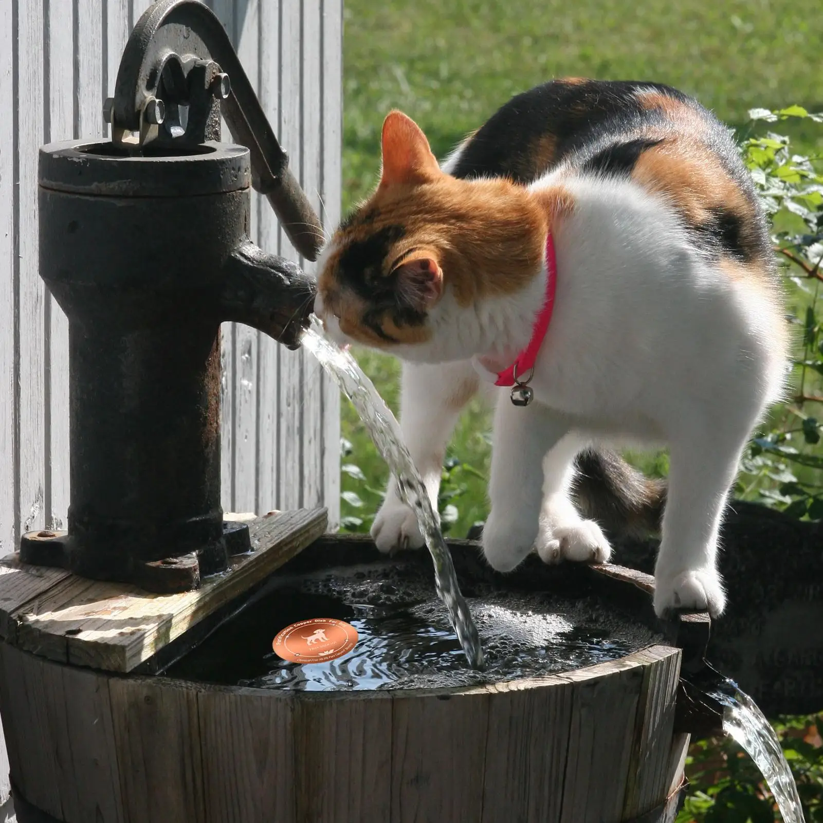 Copper Disk For Water 4 Inches Physical Safe Cleaning Cat Water Purification Disc For Outdoor Birdbaths Livestock Troughs Pool