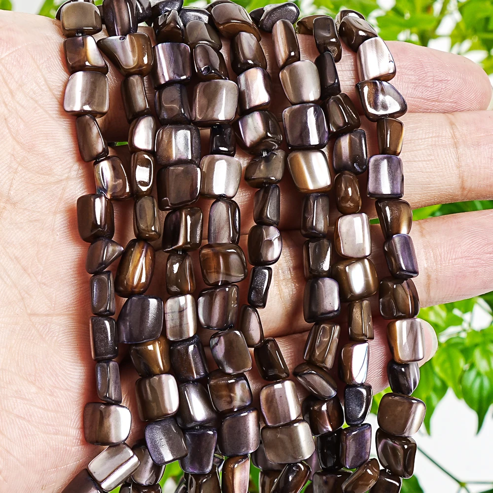 Natural Brown Trochidae Shell Loose Beads 6-9mm 15