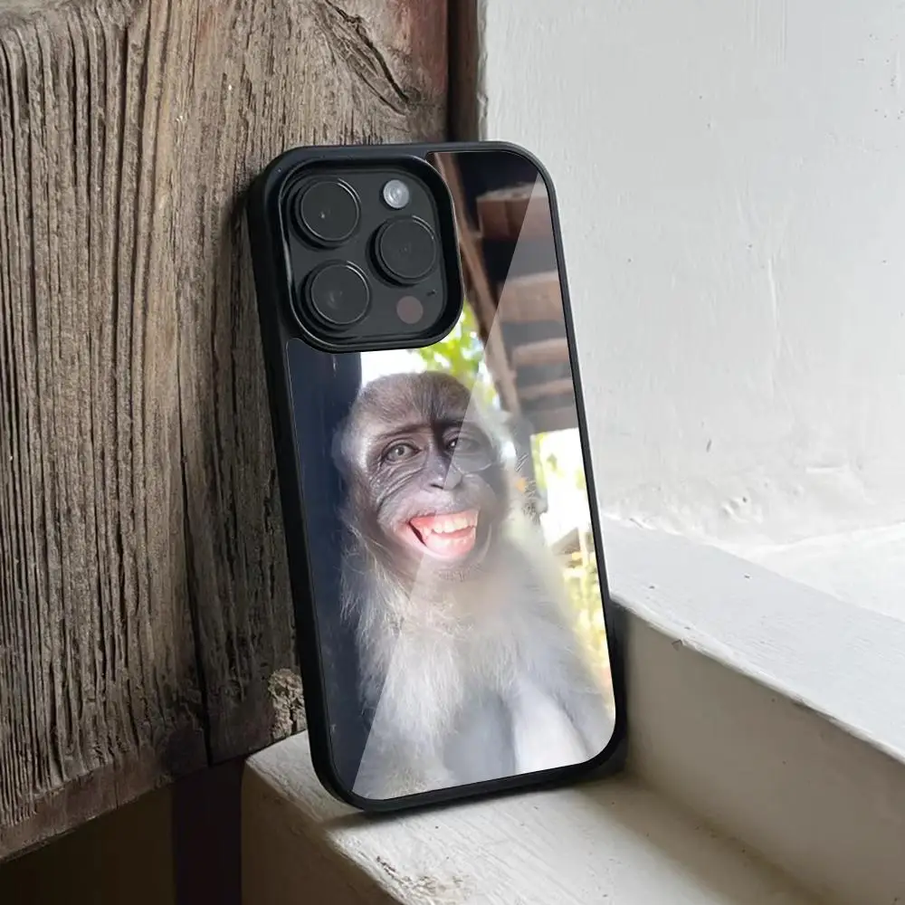 Funda de teléfono Monkey Sipping Caprisun Meme para Iphone 16 15 14 13 12 11 Pro Max Mini 8 Plus Se Xr Xs PC TPU