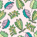Leaf