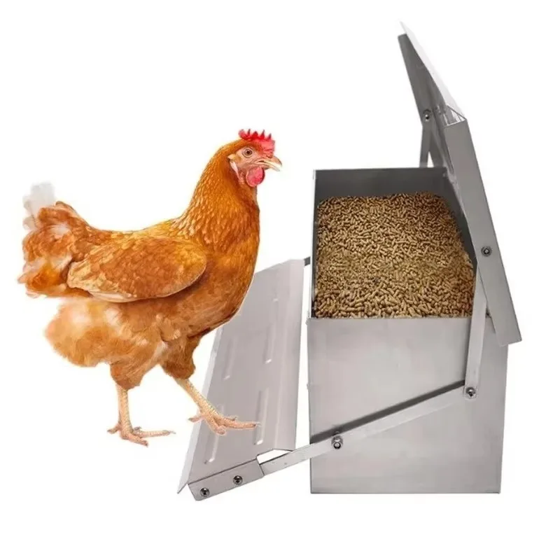 

High quality automatic poultry chicken feeder chicken feeding system for poultry equipment