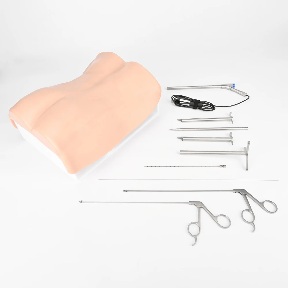 Foramen simulator with lumbar spine model arthroscopy Training interlaminal discectomy trainer