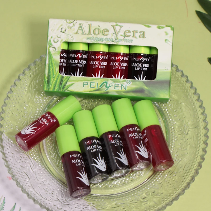 6-Pack Aloe Vera Tinted Lip Oil, Hydrating and Moisturizing Small Set Lip Glaze, Lip Care Long-Lasting Moisturizing Oil