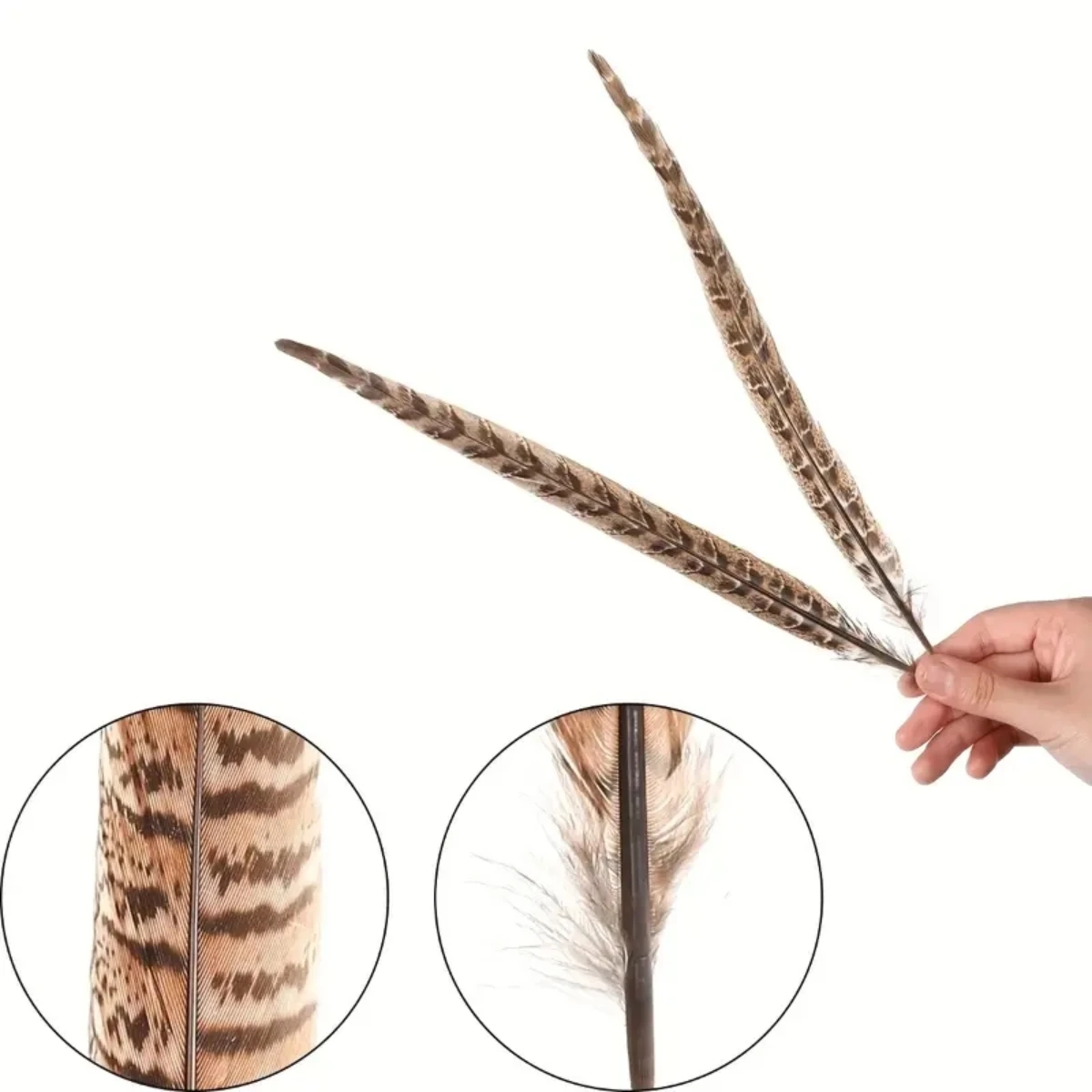 10pcs Natural Pheasant Feathers, Female Tail Feathers Female Forest-neck Chicken Tail Feathers Natural Feathers