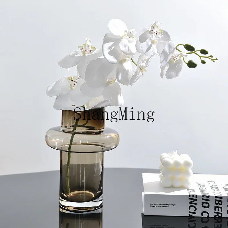 

PYH retro home transparent brown glass vase green plant flower hydroponics round straight illustration device