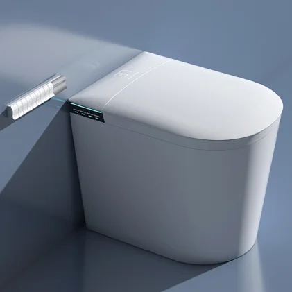 

Small Size 520mm Intelligent Smart Toilet Floor Mounted Sanitary Ware Save Space Automatic Ceramic Remote Control Water S-Trap