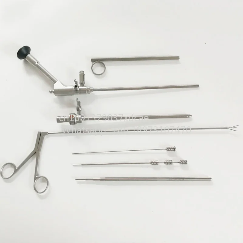 2026 New PCNL PNL 15Fr 19Fr 19.5Fr Transcutaneous Percutaneous Nephroscpoe CE Approved