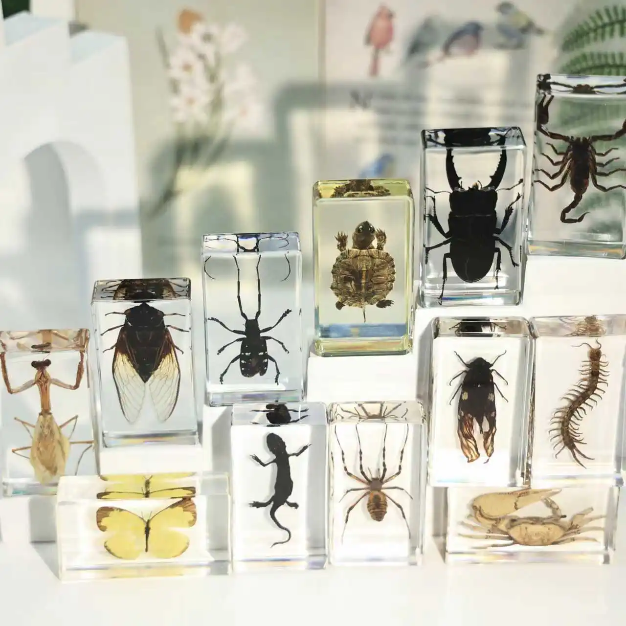 Resin Insect Specimen Centipede Spider Beetle Scorpion Biological Handmade Specimen Handicraft Ornament 19pcs