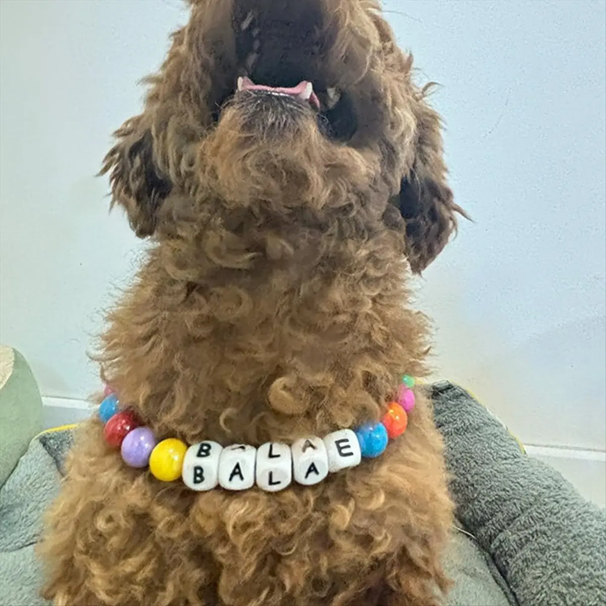 2026-coleira-de-cachorro-com-contas-personalizada-colar-removivel-para-cachorro-coleira-fofa-de-contas-coloridas-para-caes-coleira-de-identificacao-de-cachorro