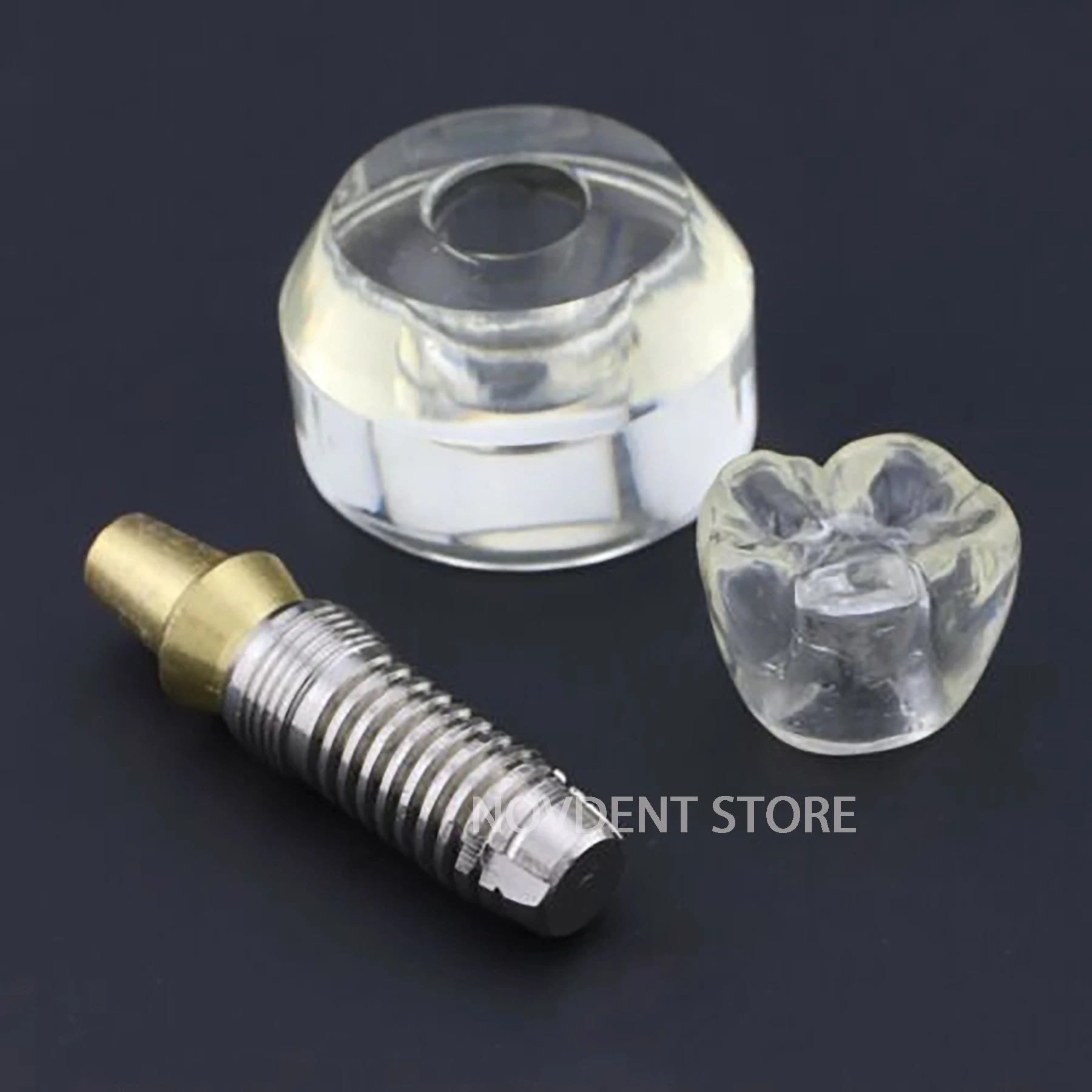 Dental Implant Teeth Model M2020 Demo Typodont 2.5X Structure Crystal Crown Teaching Study Office Table Decoration Imitation