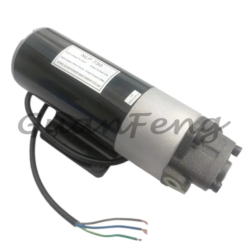 Multi Voltage Micro Gear Oil Pump DC12V/24V AC220V, Small Electric Diesel Hydraulic Oiler Pump