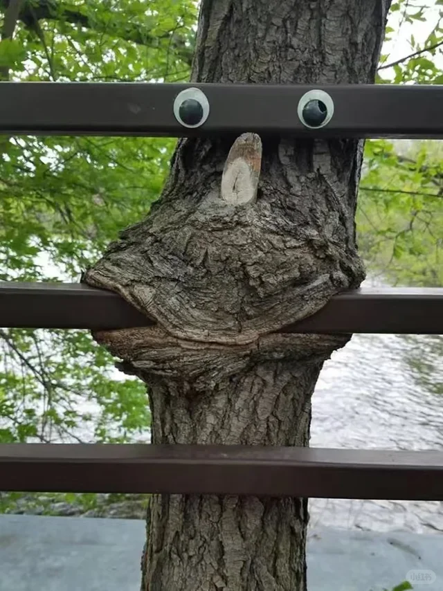 

Портативный магнитотерапевтический аппарат Physio Magneto для снятия боли в пояснице и телесных болей при спортивных травмах