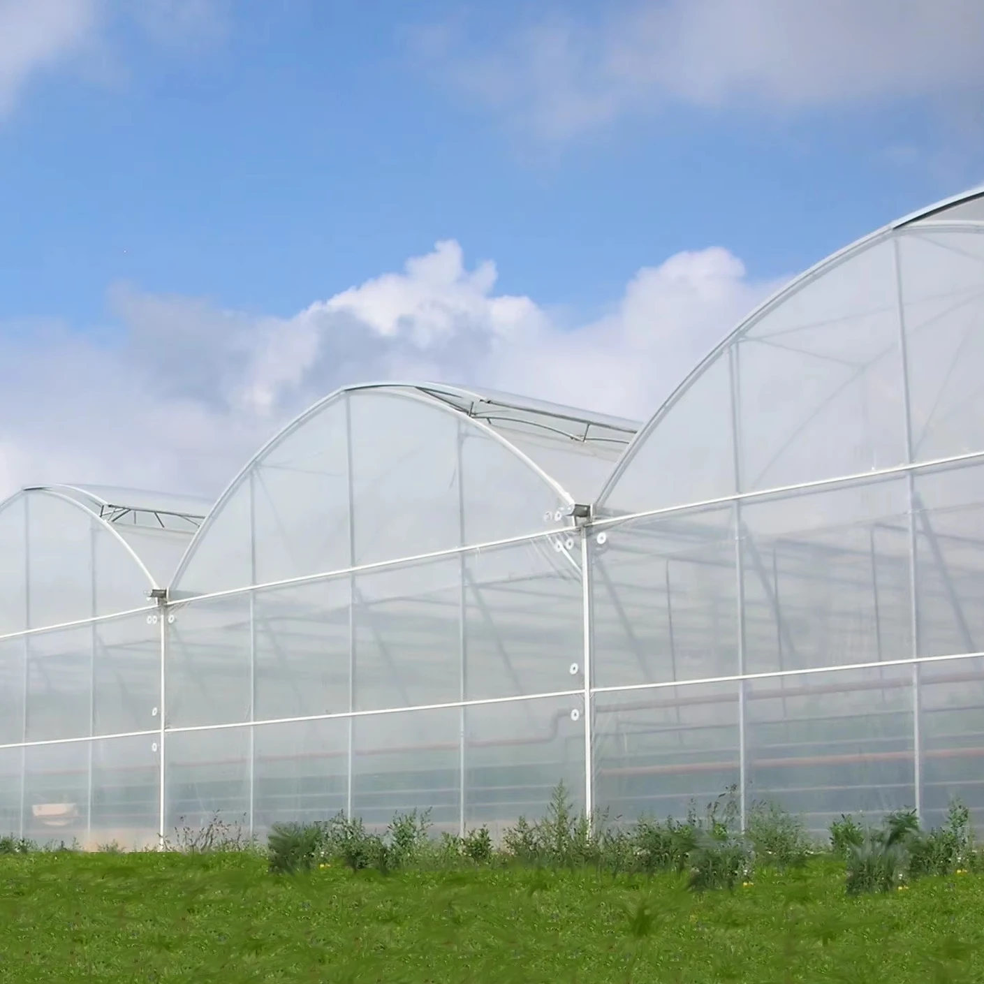 

Customized greenhouseLarge Area Film Greenhouse with Galvanized Steel Frame & PE/PO Covering - Customizable Agricultural Solutio