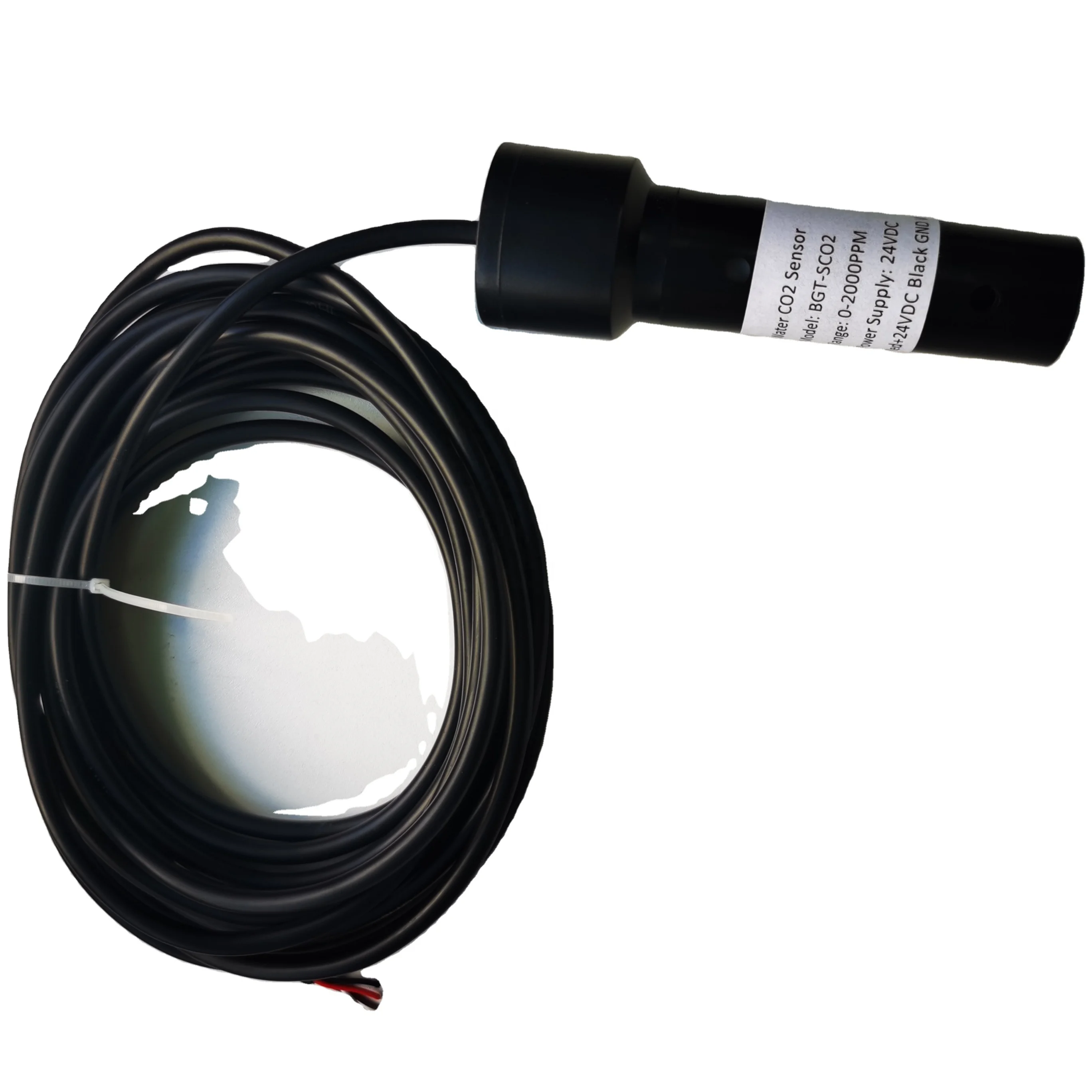 Bgt Immersion Type …