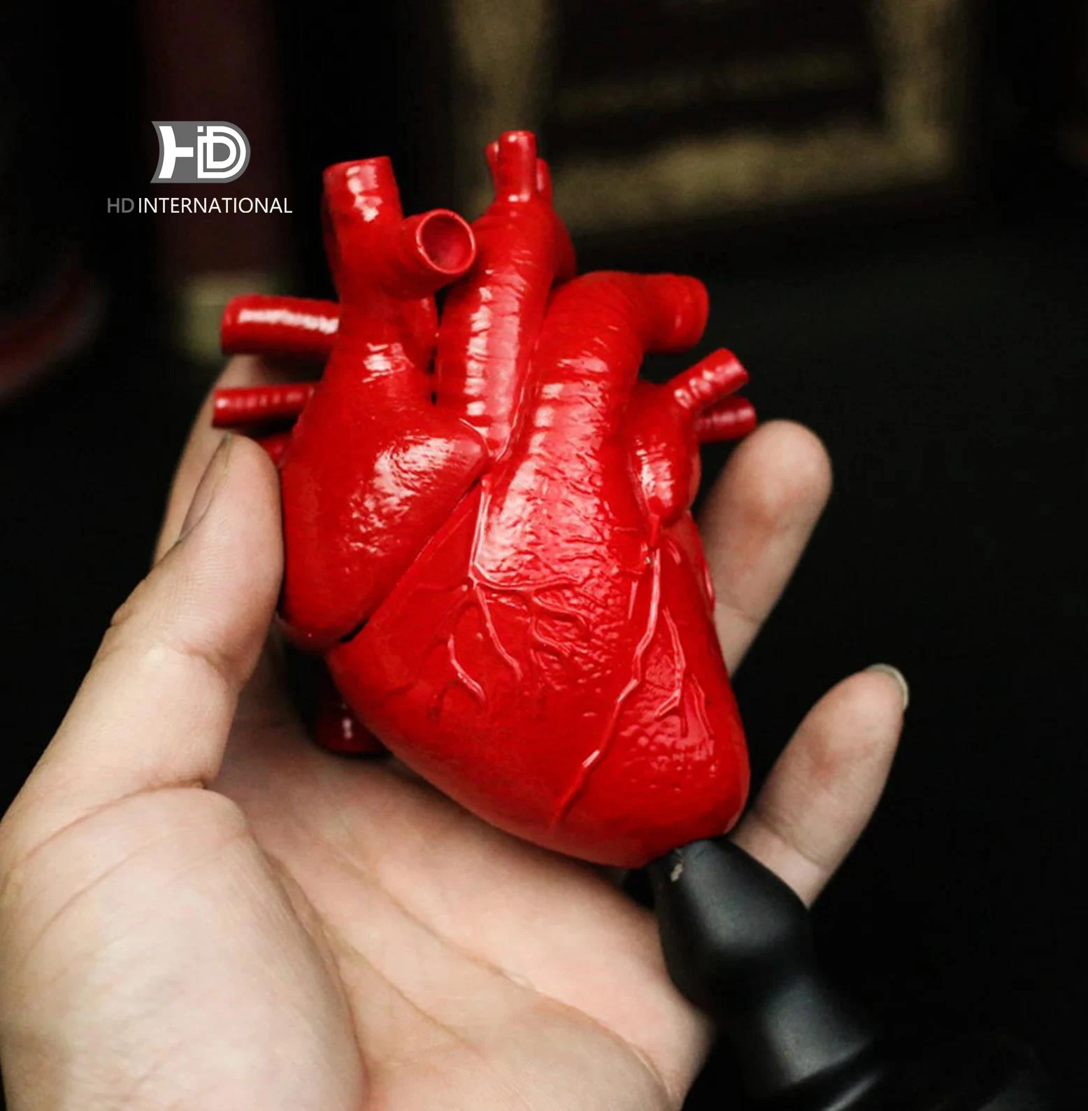 Heart ornaments, anatomical ornaments, realistic heart ornaments, unique home accessories