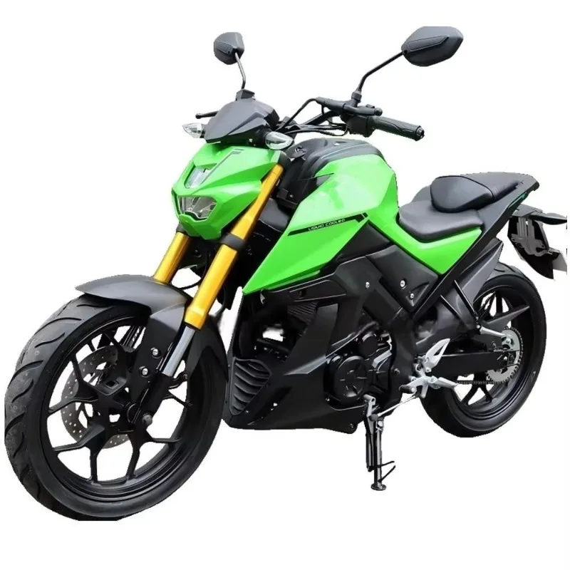 

Cool Design 250cc 300cc 4 Stroke Street Bike Sports Motorcycle Factory Wholesale Adult Racing Moto