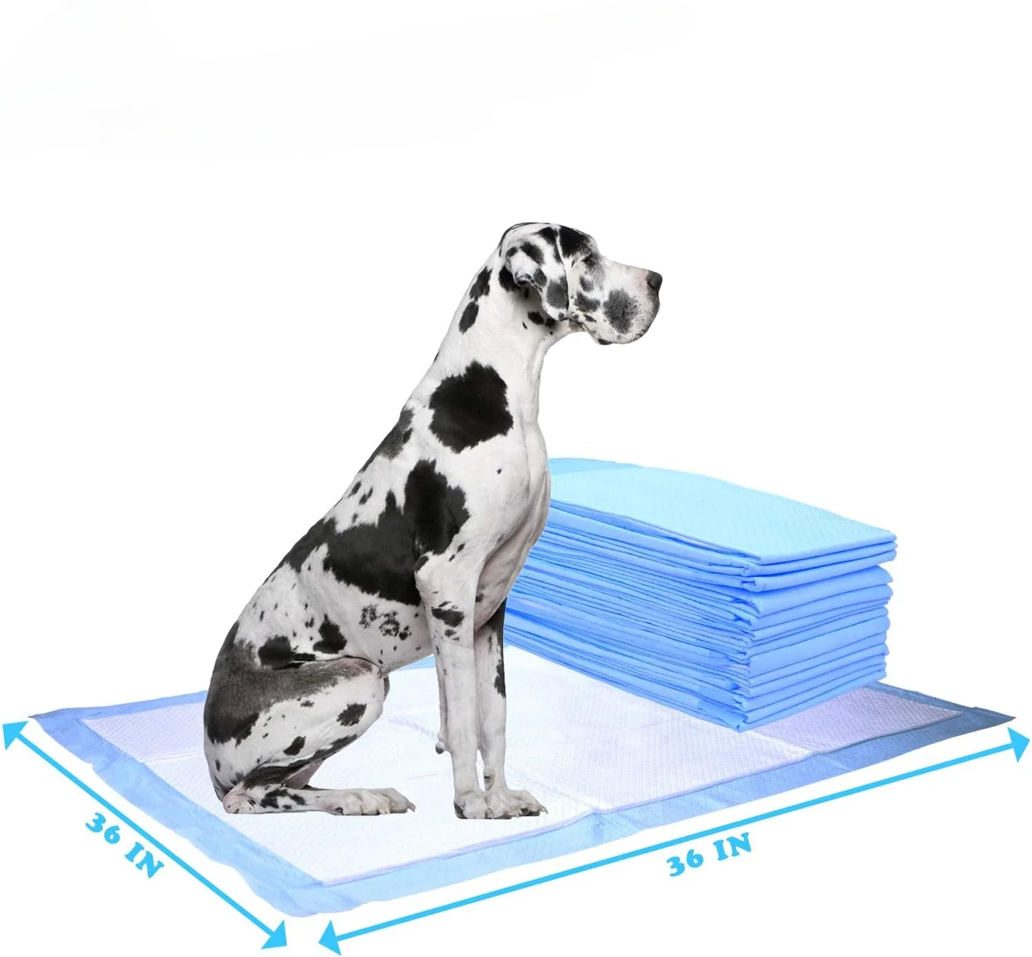 Giant Potty Pads for Pets,Odor Eliminating Pee Pads for Dogs, Gigantic Great, 5 Layer Ultra Absorbent Technology for Dogs & Cats