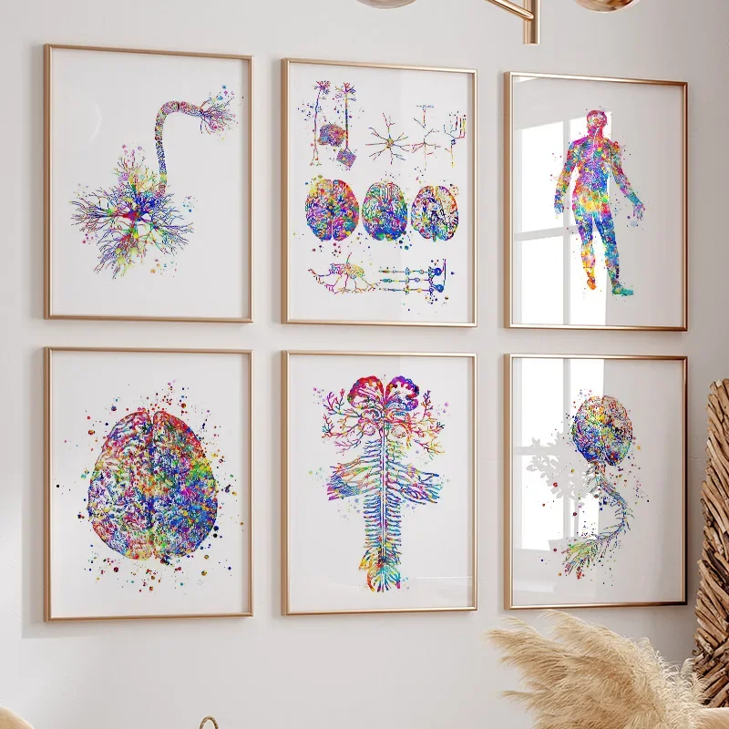 Biologie-Medizin-Poster, Nervenzelle, genetisches Neuron, Gehirn, Wandkunst, Druck auf Leinwand, Gemälde, Bilder, Arztpraxis, Raumdekoration, Geschenk
