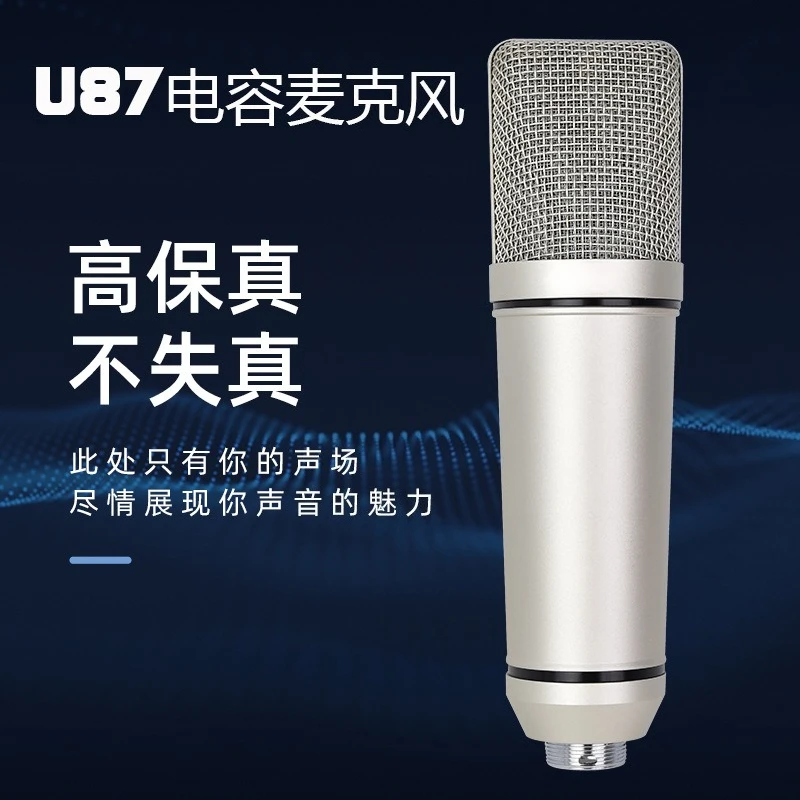 48V Condenser Microphone Set, Large Diaphragm Recording Mic for Computer Voice Over Professional Audio Capture