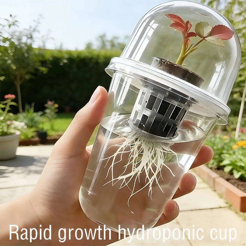 New fast-growing hydroponic cup set, seedling propagation with humidity cover, nursery flowerpot, transparent seedling box