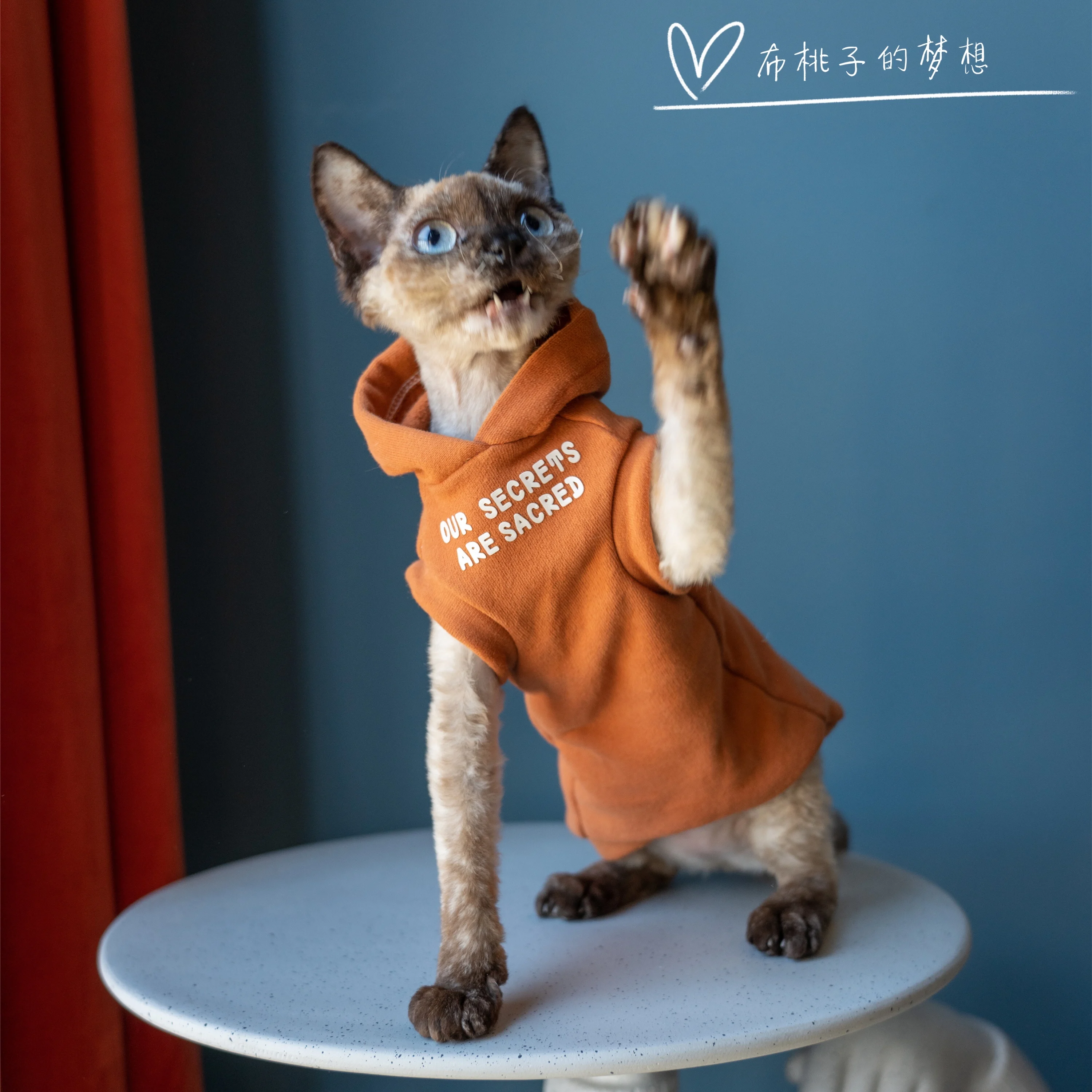 Fashion Sweatshirt Coat Suit for Sphynx Cat in Winter Thick Warm Costume for Kittens Soft Orange Jacket for Devon Cat