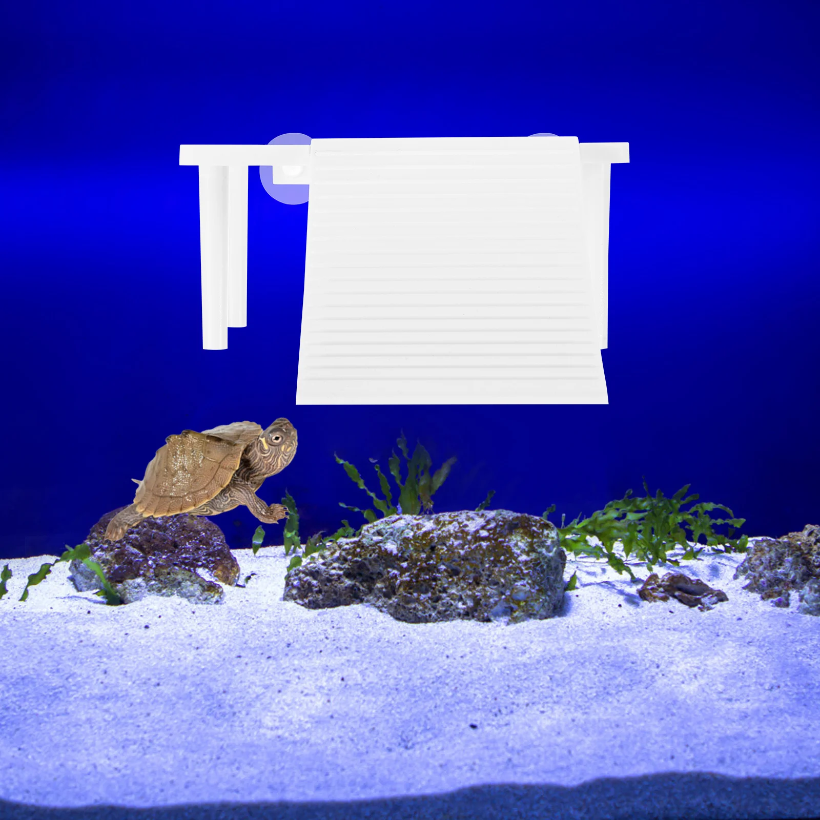 Turtle Basking Platform Climbing Ramp Multifunctional Aquatic Terrarium Decor For Reptiles Frogs Habitat Dock Shelter Landscape