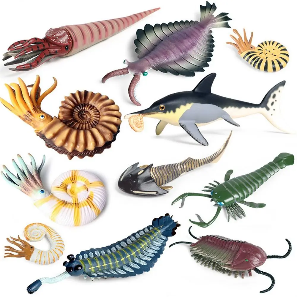 Prehistoric Ocean Animal Figure Simulation Nautilus Marine Life Figurines Ancient Anomalocaris Trilobite Figure Collection