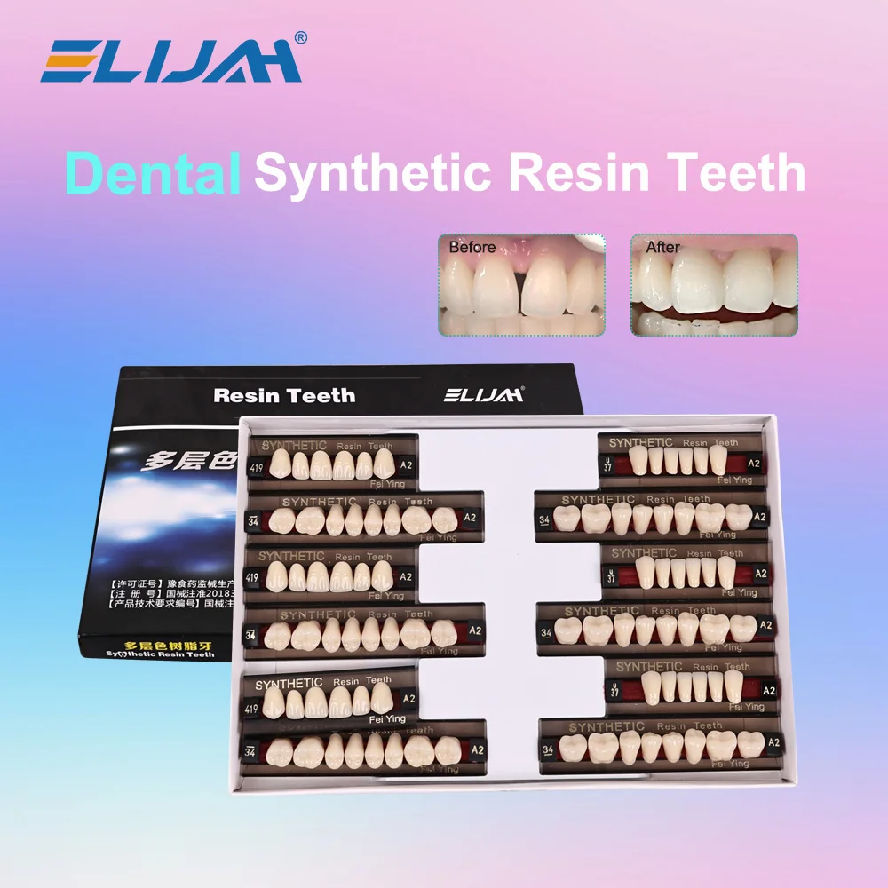 

ELIJAH Dental Synthetic Resin Tooth Dental Denture Teeth Upper Anterior Lower Posterior Teeth Economical Tooth Dental Materials
