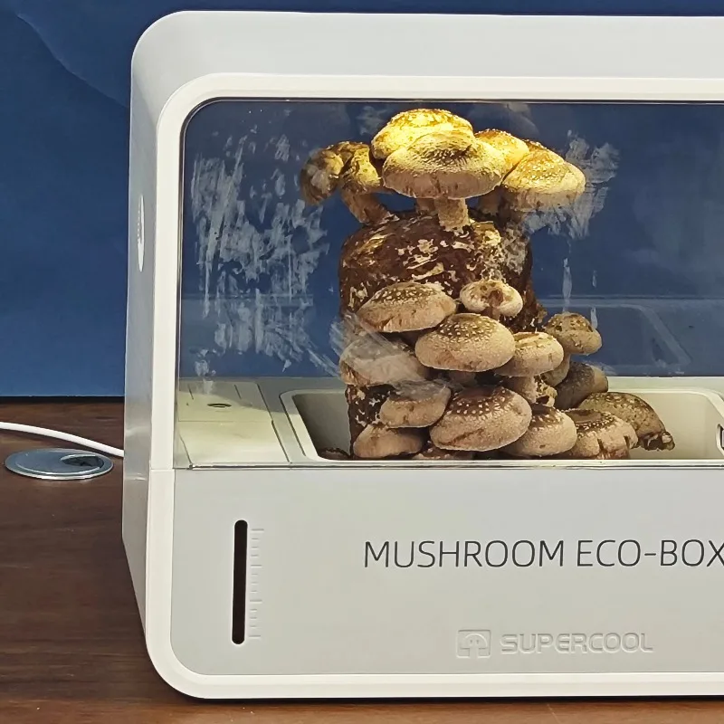 Smart Table Garden Touch Control Vertical Indoor Mushroom Growing System Perfect Gift for Friends