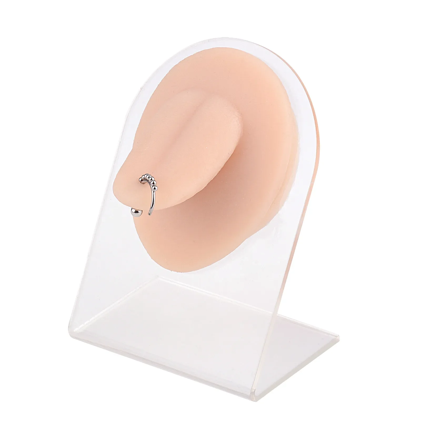 Ultrassist Tongue Piercing Model with Display Stand