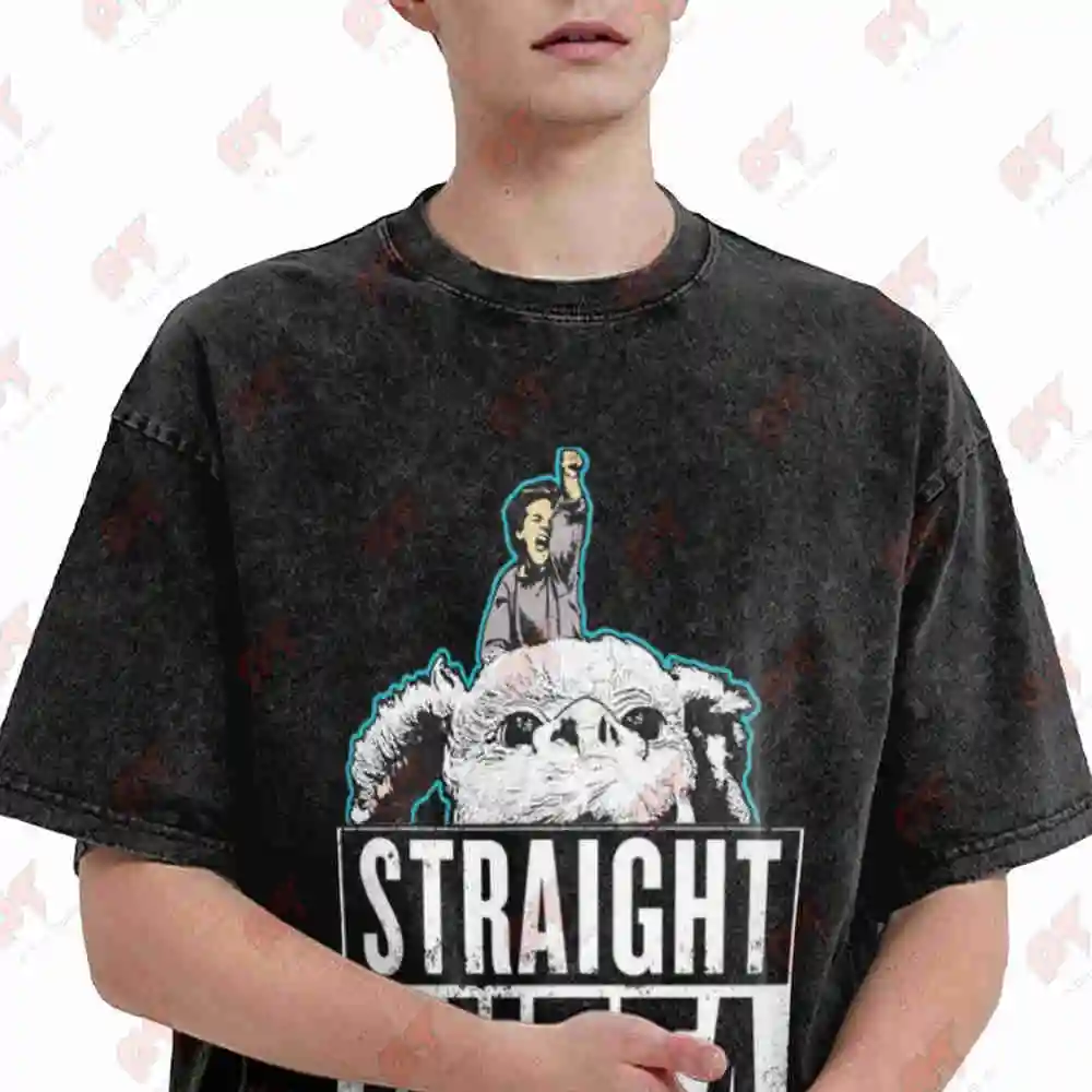 Neverending Story 80s Movie Funny Pop Art Parody Straight Outta Fantasia Vintage Washed Tee Pure Cotton T-Shirt