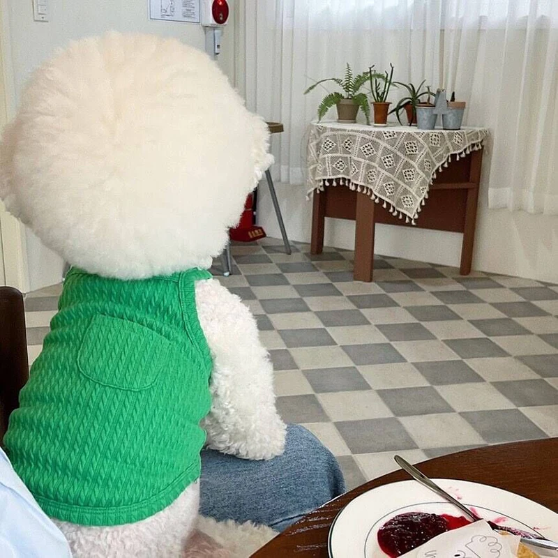 작은 개용 통기성 얇은 조끼, 치와와, 프렌치 불독 의류, 강아지 옷, 강아지 액세서리, 여름