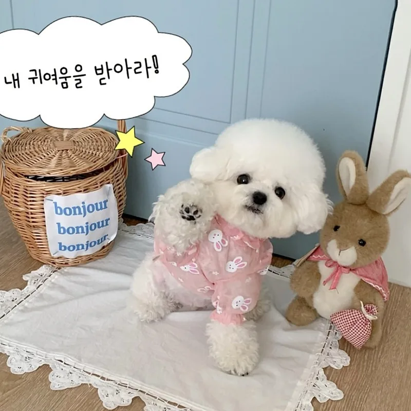 Summer Pet Mesh Dog Jumpsuit, Mosquito Bite Proof Cartoon Rabbit Pattern Four-legged Clothes for Small Dogs Teddy view 3