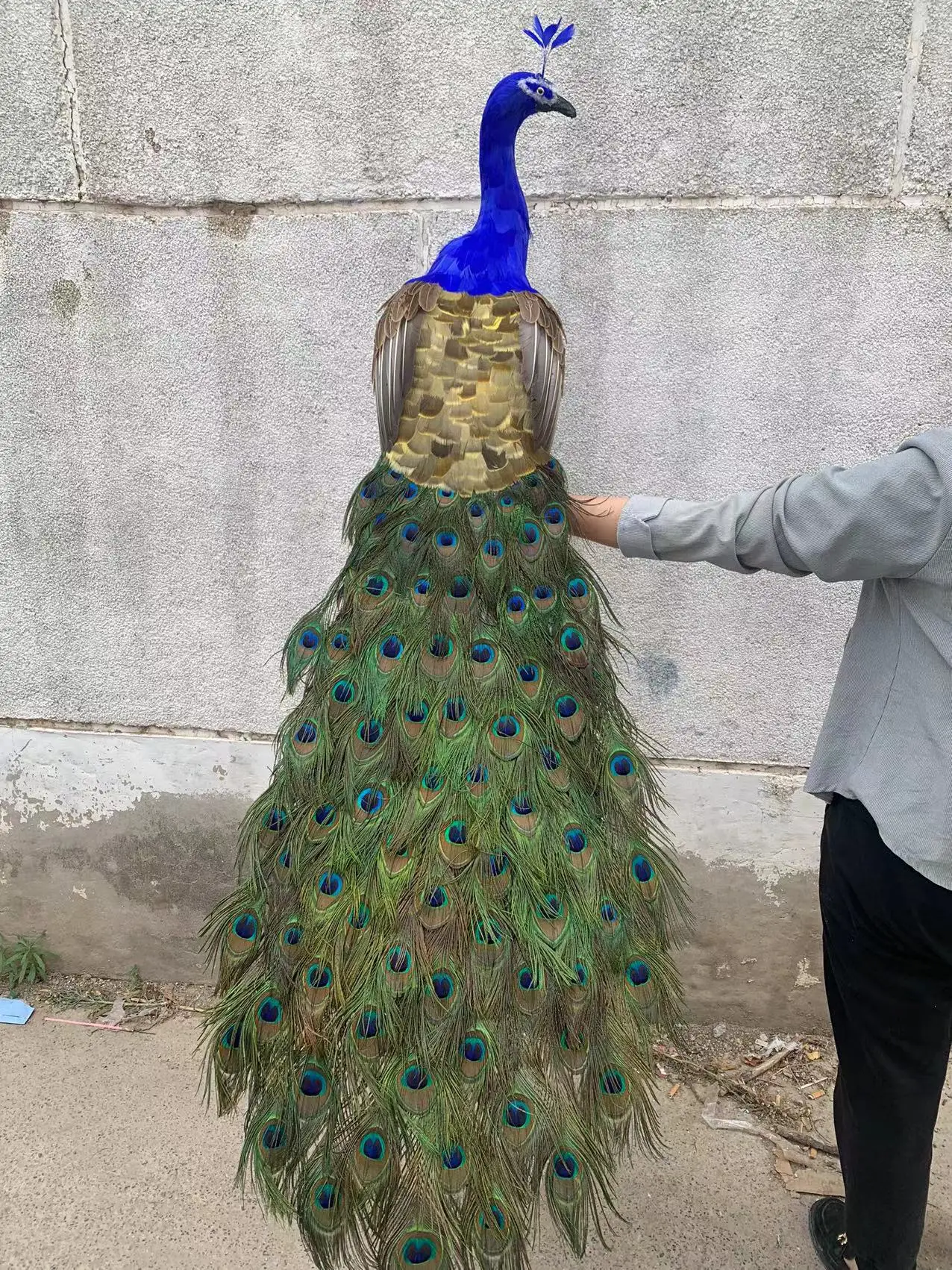 

long simulation peacock model toy foam&feather big colorful peacock doll gift about 150cm 2881