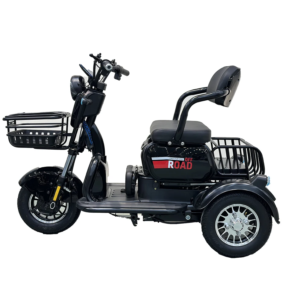 20 Inch Electric Trike adults 750W Motor Fat Tire 3 Wheel tricycle bike electro Three Wheels Adult Cargo Electric Bike