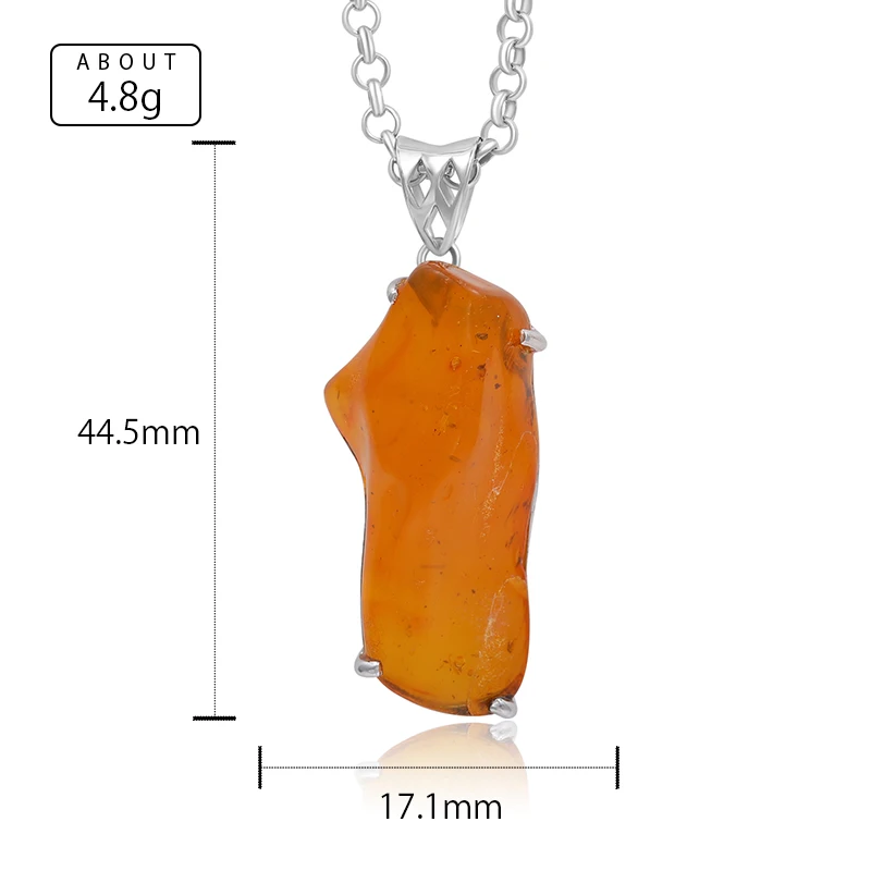 XYOP Natural Insect Amber Pendantlrregular Shape Ambers Original StoneCharms 925 sterling Silver PendantNecklace Amulet Gift